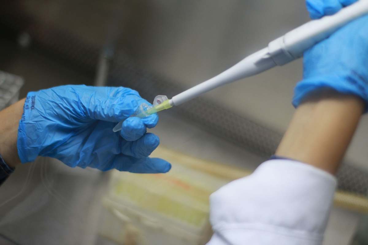 A scientist using a pipette over laboratory samples