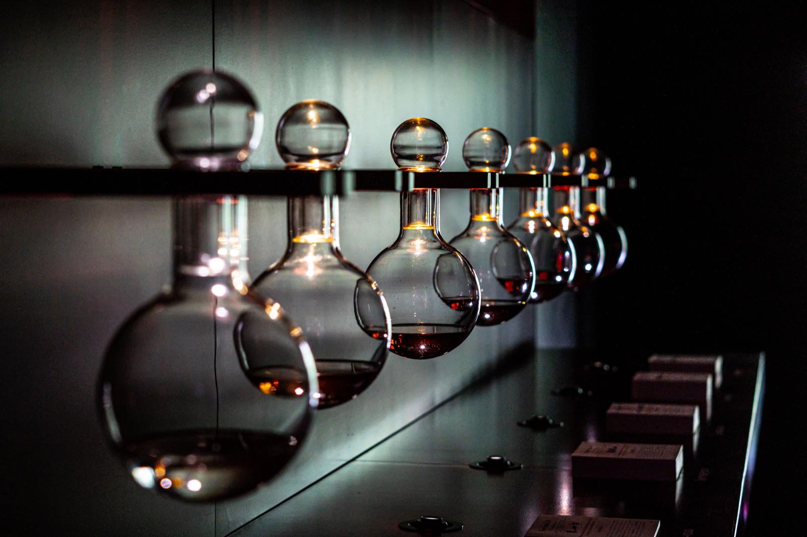 Row of laboratory flasks holding amber solution glowing under low light in a biotech research lab