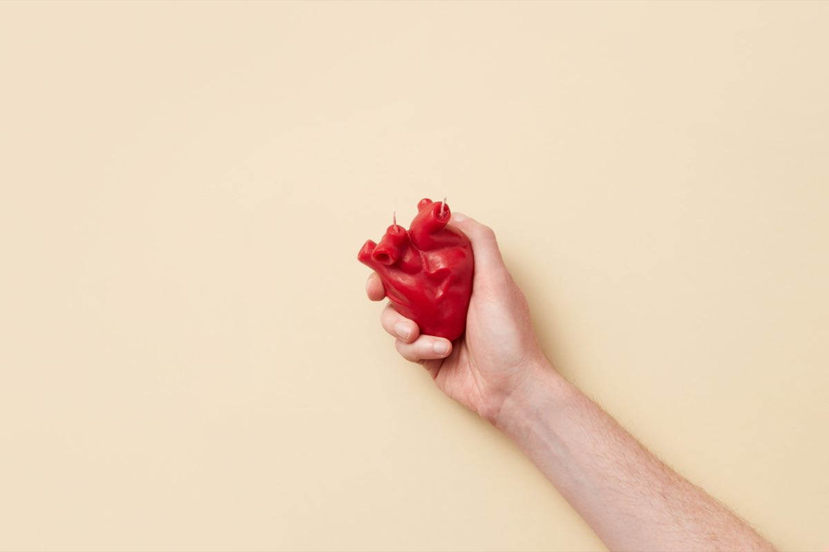Anatomical heart model representing cardiovascular benefit