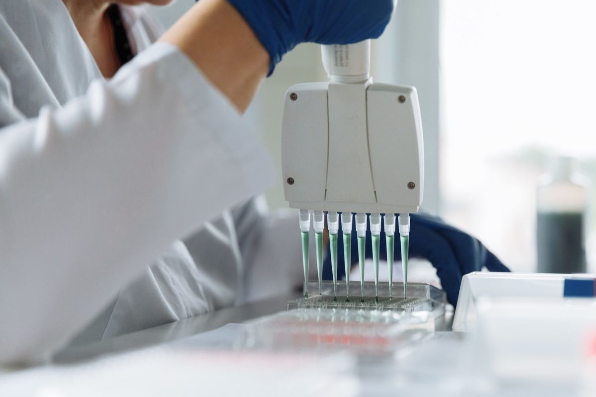 Scientist running a potency assay for a cell therapy
