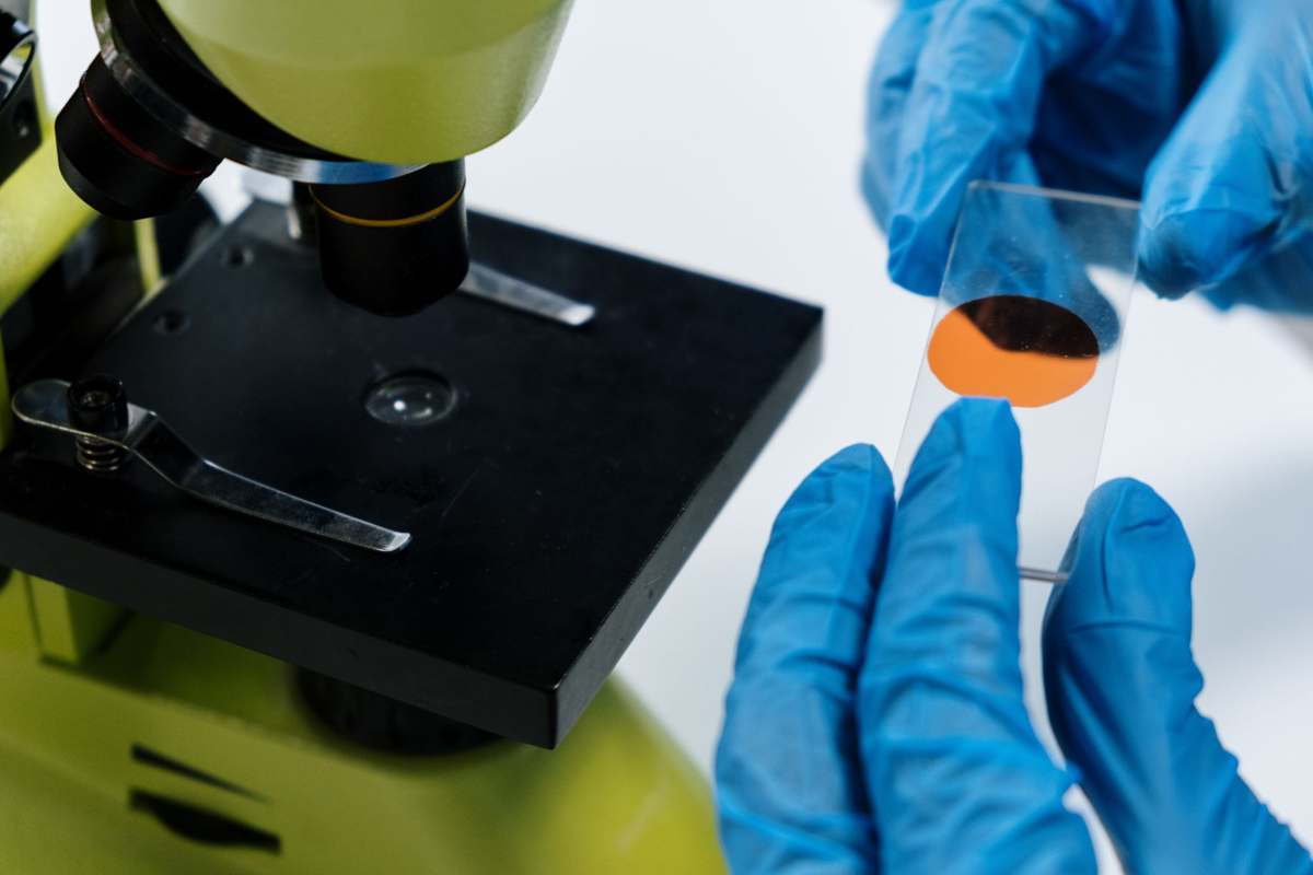 A scientist handling a microscope slide in a pathology laboratory