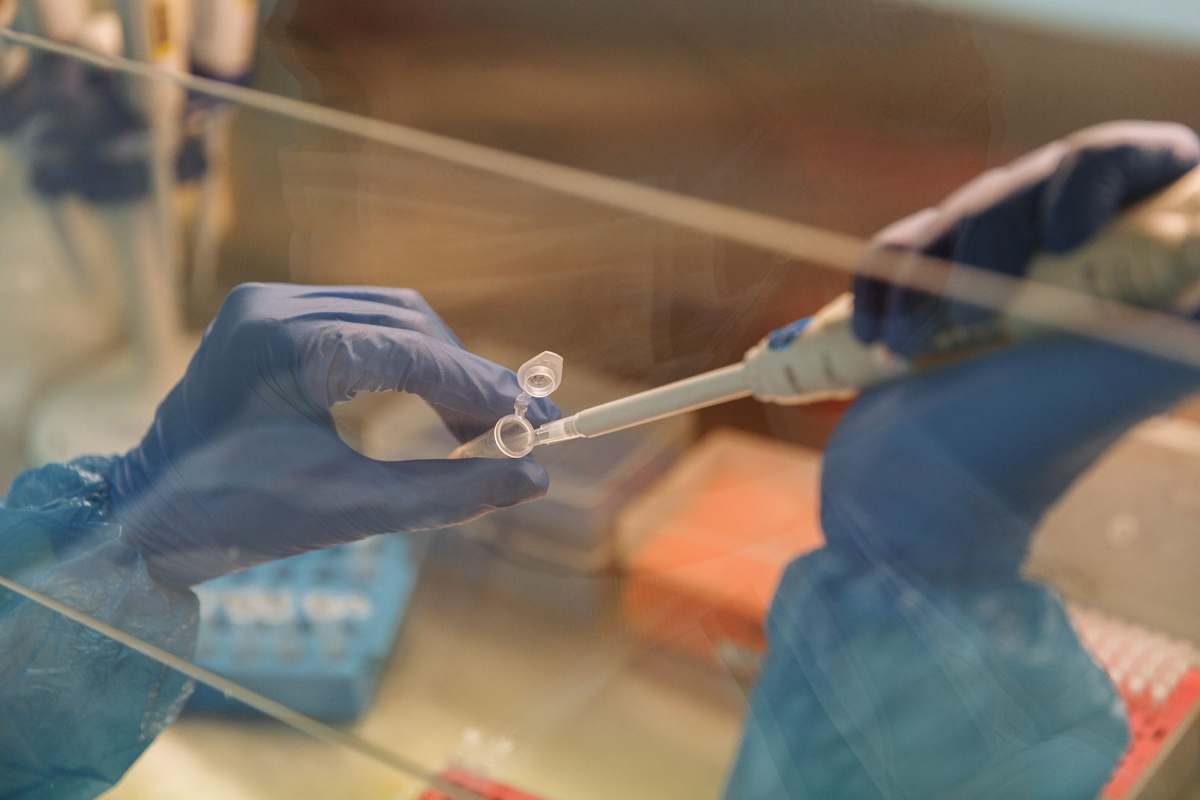 Gloved hands pipetting samples in a molecular biology laboratory