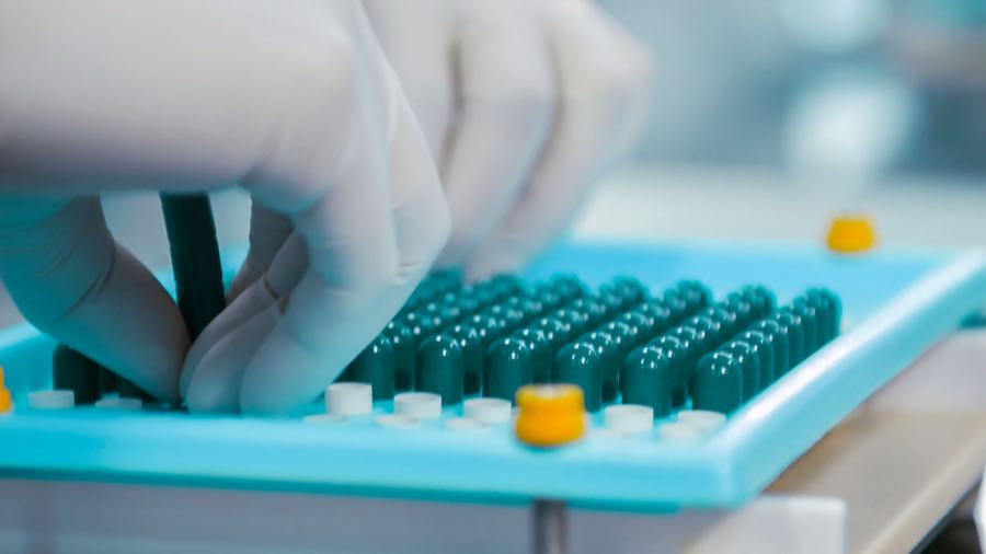 Gloved hands verifying capsule samples in quality control