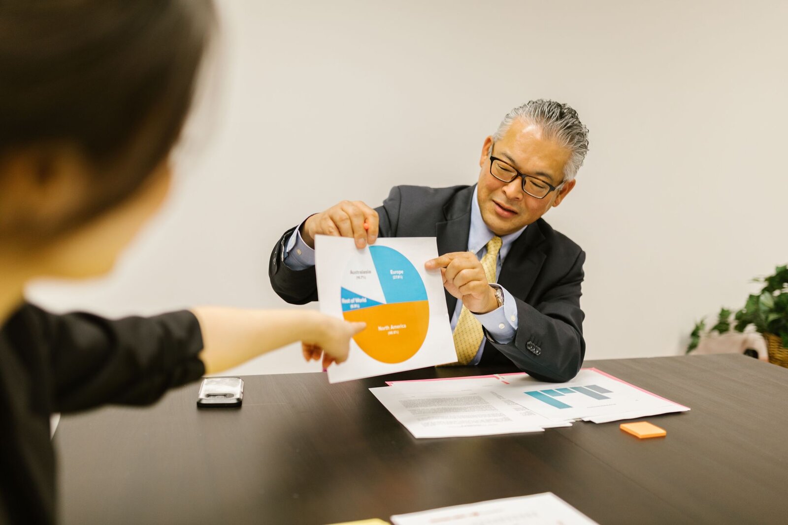Senior adviser explaining a pie chart to a colleague across a conference table