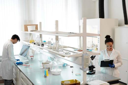 Two scientists documenting and reviewing results in a bright laboratory