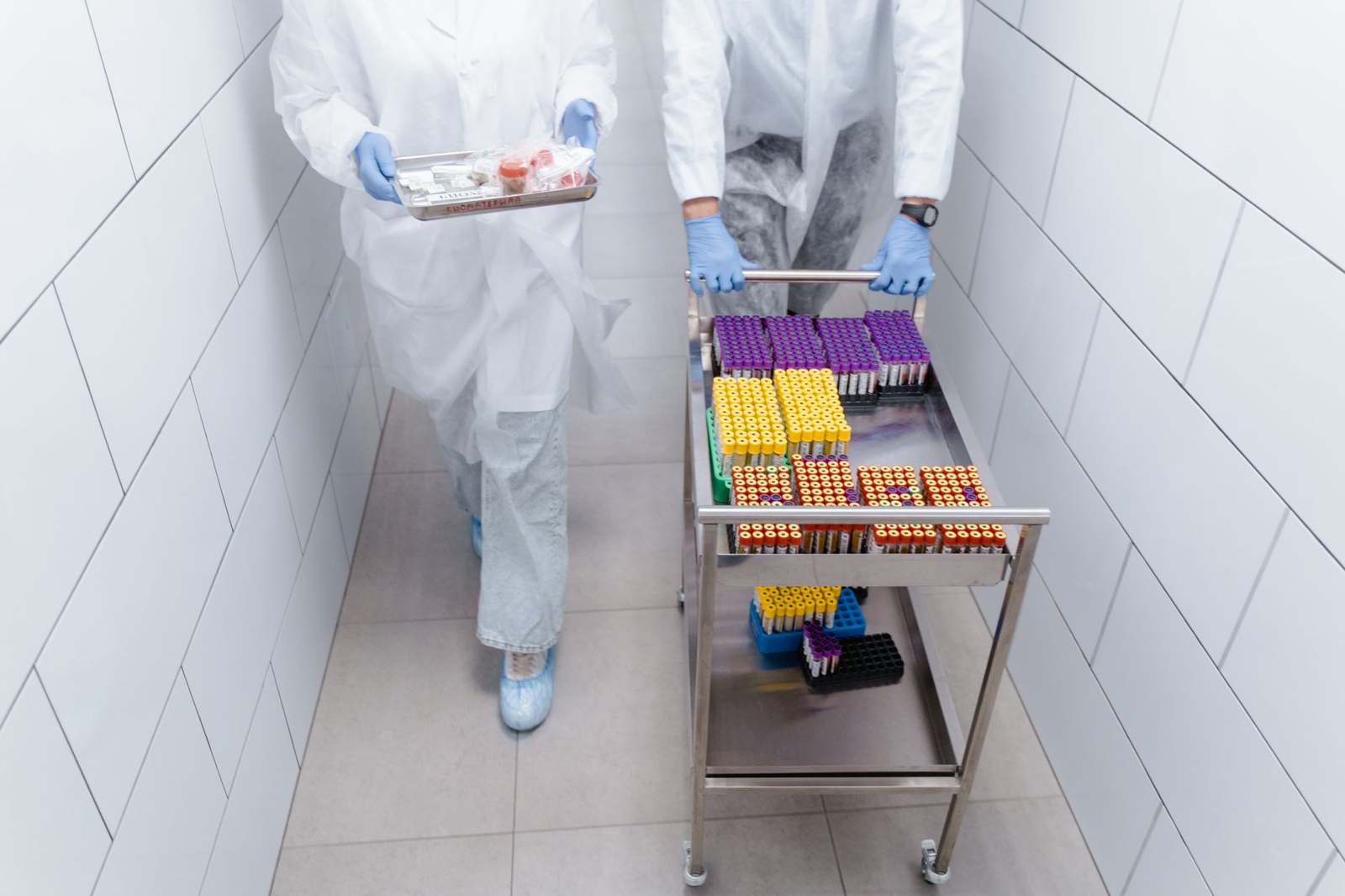 Researchers in lab coats handling medical samples in a molecular laboratory