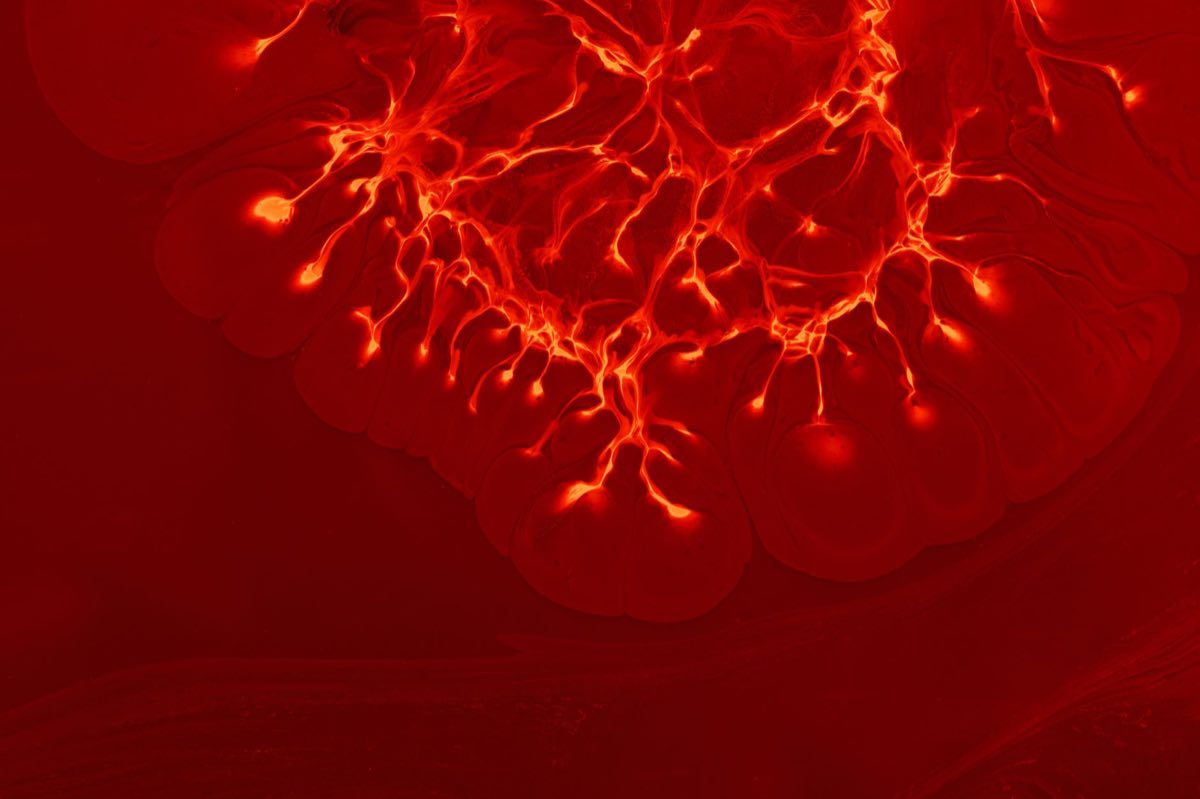 Neurons firing in vivid red — branching electric filaments against a deep crimson field