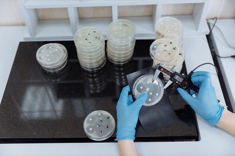Researcher reading assay plates during a GLP toxicology study