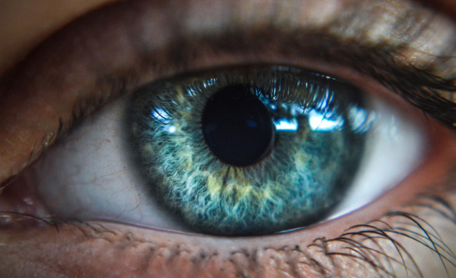 Macro close-up of a human eye