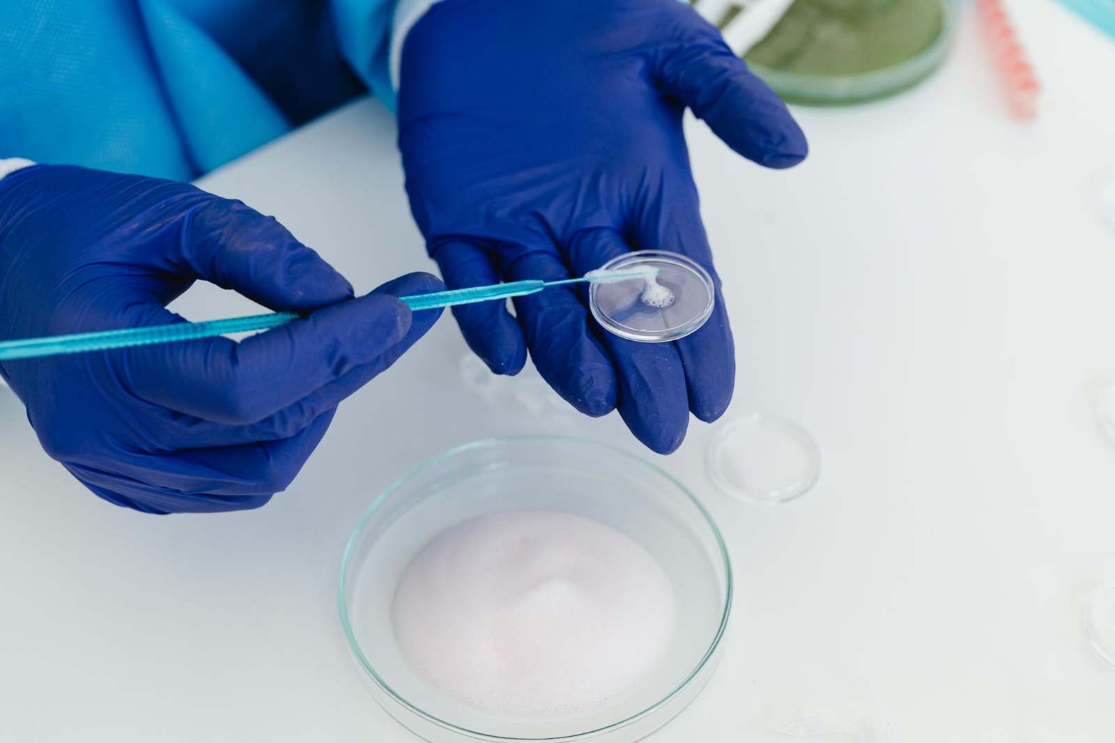 A scientist in gloves handling a sample in a regenerative medicine laboratory