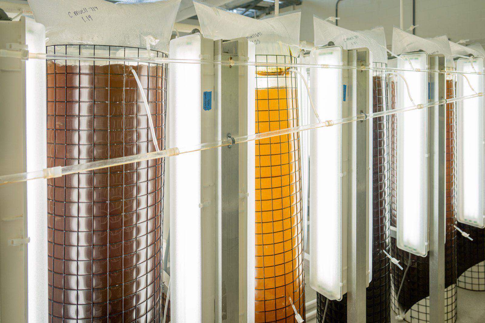Bioprocess manufacturing columns in a pharmaceutical facility