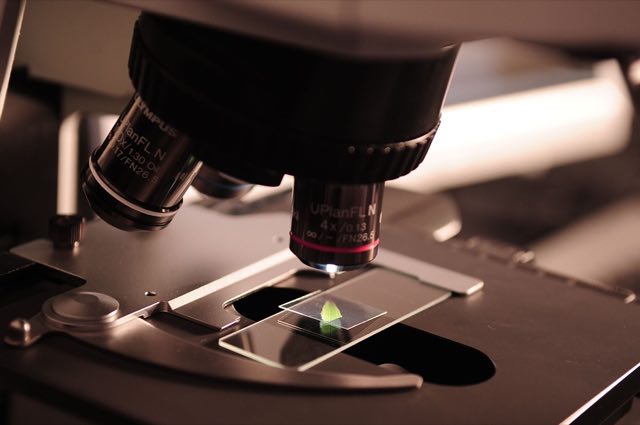Close view of a microscope objective over a prepared slide