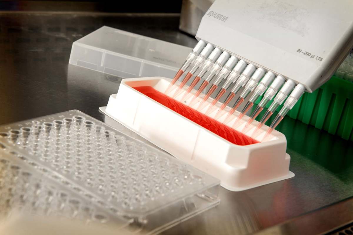 An automated pipetting system dispensing liquid in a laboratory