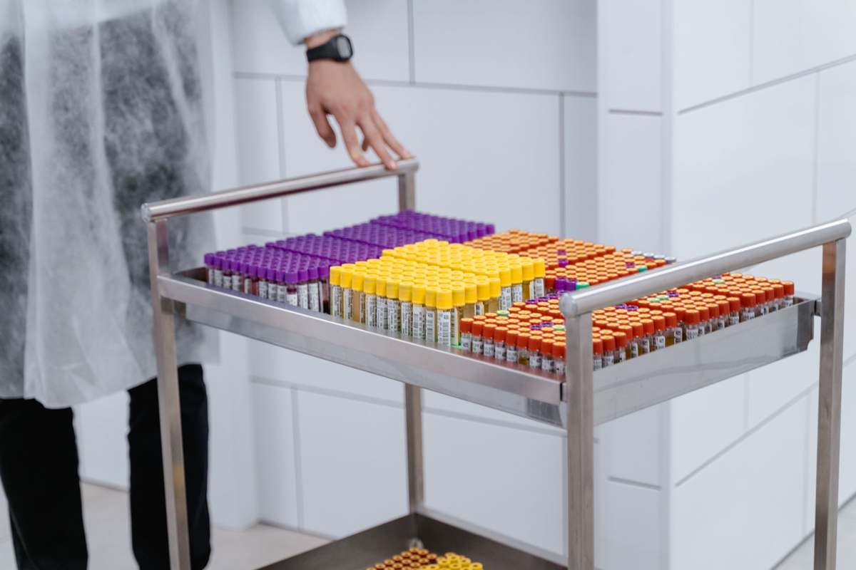 Organized laboratory sample vials in colorful capped racks