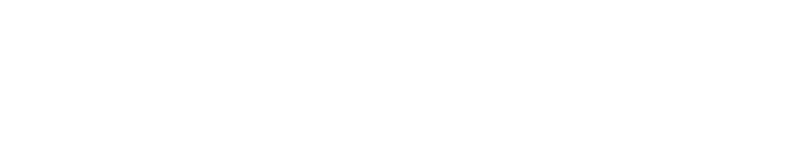 Regulatory Leadership Partners